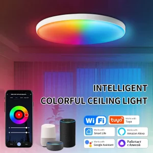 Plafonnier LED circulaire intelligent Wi-Fi Tuya  24W  RGB  éclairage multicolore  contrôle application  Alexa Google Home  design moderne  chambre  salon  décoration intérieure
