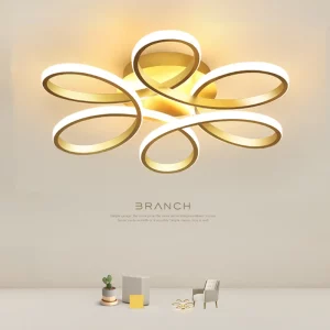 Plafonnier moderne design minimaliste aluminium acrylate lumière LED éclairage intérieur salon chambre salle à manger élégance économique