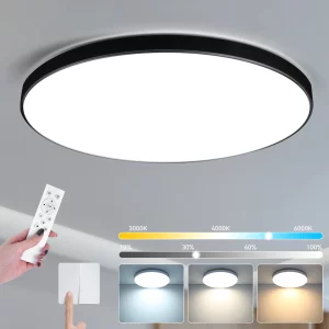 Plafonnier LED intelligent télécommande lumière variable design moderne intérieur salon chambre éclairage chaleureux économique élégant Plafonnier LED intelligent télécommande lumière variable design moderne intérieur salon chambre éclairage chaleureux économique élégant