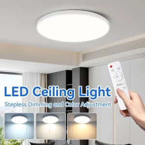Plafonnier LED moderne design minimaliste avec télécommande pour chambre salon éclairage ajustable économies d’énergie certification ROHS