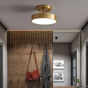 Plafonnier LED moderne design minimaliste en métal doré éclairage doux chambre salon entrée couloir lumière nordique économique élégant Plafonnier LED moderne design minimaliste en métal doré éclairage doux chambre salon entrée couloir lumière nordique économique élégant