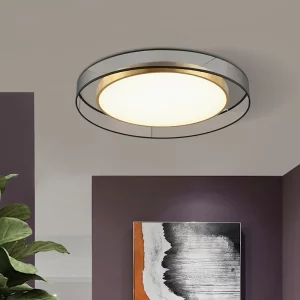 Plafonnier LED design nordique moderne  luminaire métal et verre  lumière douce pour salon  chambre et cuisine  éclairage économique et élégant