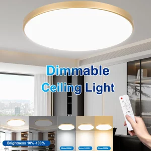 Plafonnier LED moderne design minimaliste éclairage intérieur salon chambre cuisine télécommande multicolore économie d’énergie élégance naturelle Plafonnier LED moderne design minimaliste éclairage intérieur salon chambre cuisine télécommande multicolore économie d’énergie élégance naturelle