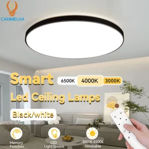 Plafonnier LED moderne design minimaliste lumière ajustable télécommande éclairage intérieur salle de bain chambre cuisine élégant économique Plafonnier LED moderne design minimaliste lumière ajustable télécommande éclairage intérieur salle de bain chambre cuisine élégant économique