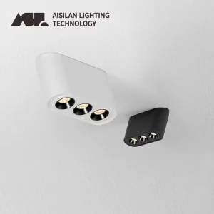 Plafonnier LED en métal moderne design minimaliste éclairage directionnel salon bureau couloir éclairage intérieur économique et élégant