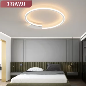 Plafonnier LED moderne design nordique style scandinave lumière chaude intérieur décoration élégante économie d’énergie luminaire aluminium