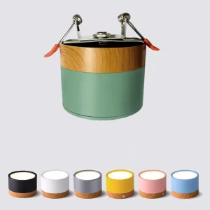 Plafonnier LED encastrable bois naturel design nordique scandinave moderne lumière chaleureuse économique élégant pour salon chambre