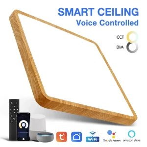 Plafonniers ultra minces plafonniers led carrés Tuya Smart Wifi App télécommande Alexa Google commande vocale pour les lumières du salon Plafonniers ultra minces plafonniers led carrés Tuya Smart Wifi App télécommande Alexa Google commande vocale pour les lumières du salon
