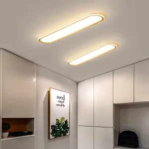 Plafonnier LED moderne design minimaliste aluminium verre diffuseur lumière chaude homogène salon couloir bureau éclairage élégant économique