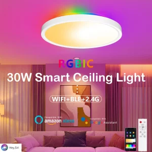 Plafonnier LED RGBCW intelligent 30W Wi-Fi Alexa Google Assistant éclairage RGBIC ambiant moderne salon chambre bureau design contemporain