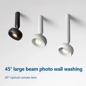 Plafonnier LED métal design moderne minimaliste salon salle à manger entrée couloir éclairage directionnel lumière chaleureuse certification CCC UL ROHS Plafonnier LED métal design moderne minimaliste salon salle à manger entrée couloir éclairage directionnel lumière chaleureuse certification CCC UL ROHS