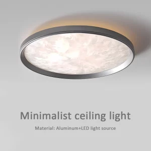 Plafonnier LED aluminium texture brossée design moderne minimaliste italien pour chambre salon bureau éclairage Protection des yeux lumière douce économique élégant