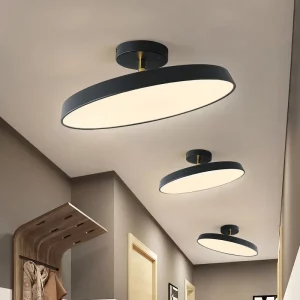 Plafonnier LED design moderne aluminium finition polie luminaire éclairage ambiant salon chambre couloir cuisine économique élégant