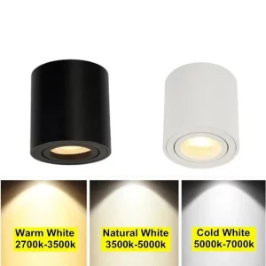 Plafonnier LED moderne design minimaliste cylindrique lumière chaude froid naturel salon cuisine bureau éclairage économique élégant