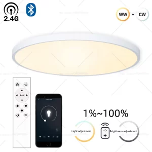 Plafonnier LED intelligent design moderne minimaliste éclairage intérieur salle à manger chambre cuisine lumière chaude froide économies d’énergie télécommande Bluetooth Plafonnier LED intelligent design moderne minimaliste éclairage intérieur salle à manger chambre cuisine lumière chaude froide économies d’énergie télécommande Bluetooth