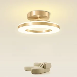 Plafonnier moderne design minimaliste lumière LED intérieur élégant pour salon chambre salle à manger éclairage contemporain