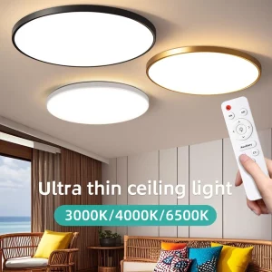 Plafonnier LED moderne minimaliste ultra-mince avec télécommande  lumière variable  chambre  salon  cuisine  bureau  design épuré  éclairage intérieur  économie d’énergie
