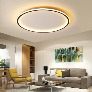 Plafonnier LED design nordique moderne  lumière douce  éclairage intérieur  style minimaliste  salon chambre bureau  ambiance chaleureuse  économie d’énergie  élégance naturelle