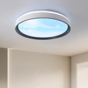 Plafonnier LED moderne design minimaliste style scandinave lumière douce pour salon chambre bureau éclairage apaisant en métal et acrylique